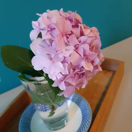 Mladinic 아파트 푸치스차