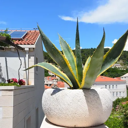 Mladinic Apartment Pucisca