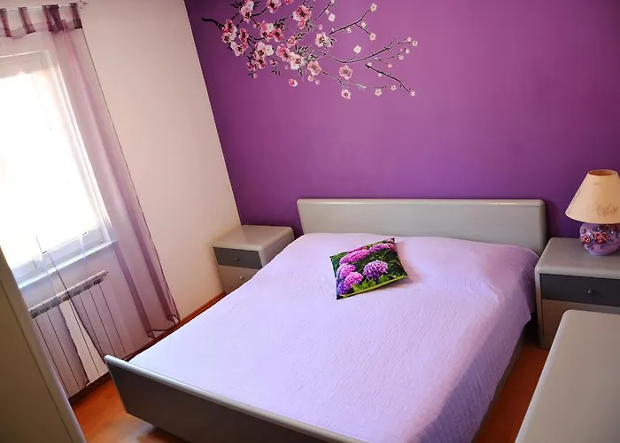 Mladinic * Pucisca